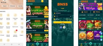 BN55